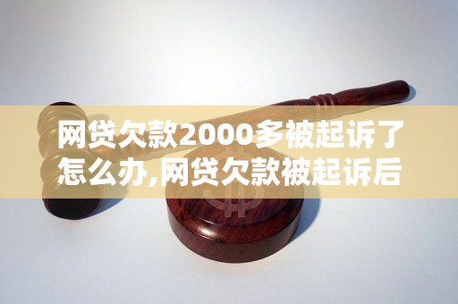 网贷欠款2000多被起诉了怎么办,网贷欠款被起诉后的应对策略