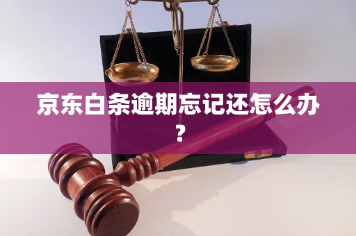 京东白条逾期忘记还怎么办？