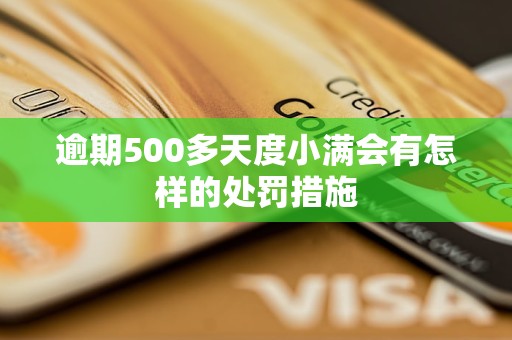 逾期500多天度小满会有怎样的处罚措施