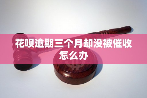 花呗逾期三个月却没被催收怎么办