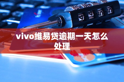 vivo维易贷逾期一天怎么处理