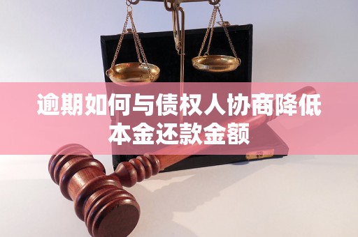 逾期如何与债权人协商降低本金还款金额