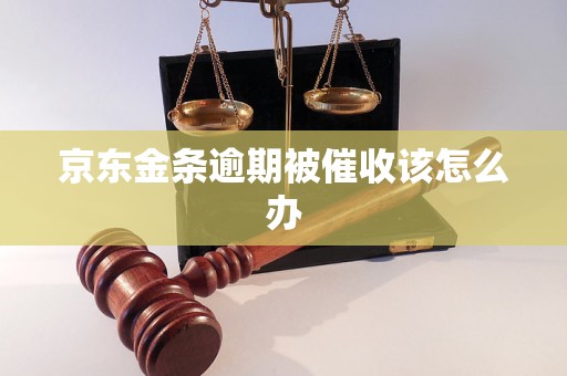 京东金条逾期被催收该怎么办