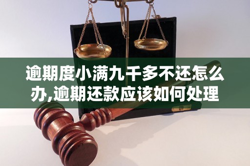 逾期度小满九千多不还怎么办,逾期还款应该如何处理