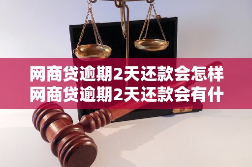 网商贷逾期2天还款会怎样网商贷逾期2天还款会有什么后果