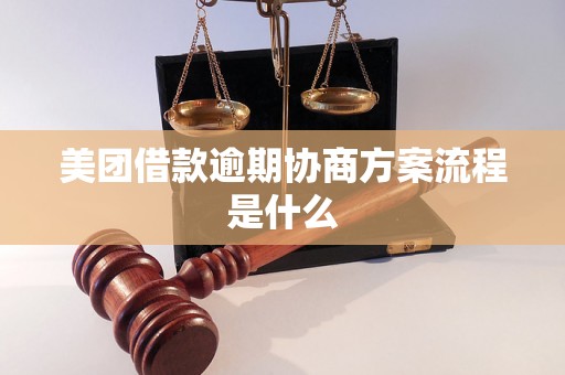 美团借款逾期协商方案流程是什么