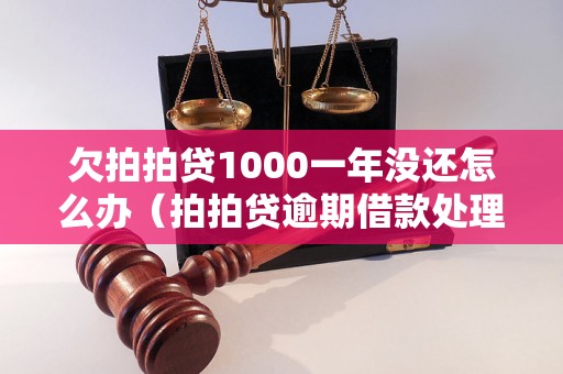 欠拍拍贷1000一年没还怎么办（拍拍贷逾期借款处理方法）