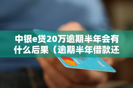 中银e贷20万逾期半年会有什么后果（逾期半年借款还款处理方式）