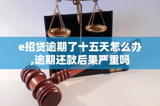 e招贷逾期了十五天怎么办,逾期还款后果严重吗