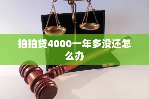 拍拍贷4000一年多没还怎么办