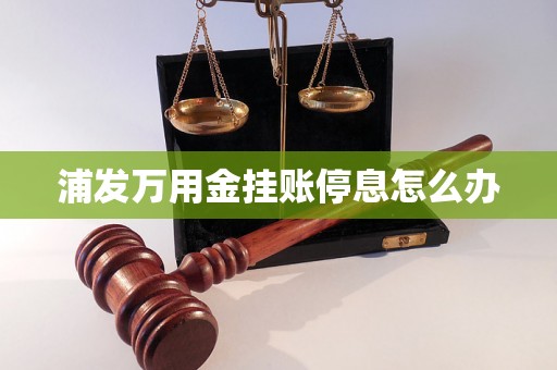 浦发万用金挂账停息怎么办