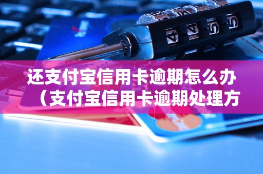 还支付宝信用卡逾期怎么办（支付宝信用卡逾期处理方法详解）