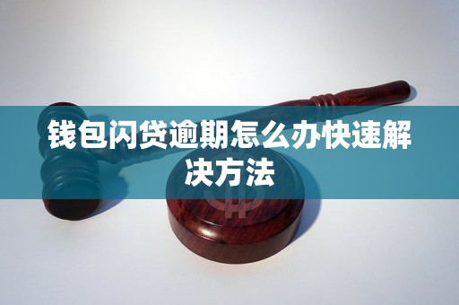 钱包闪贷逾期怎么办快速解决方法