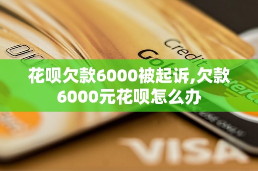 花呗欠款6000被起诉,欠款6000元花呗怎么办