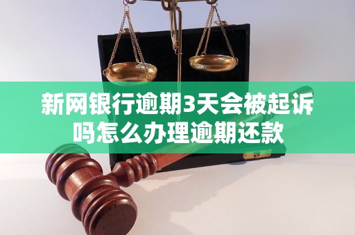 新网银行逾期3天会被起诉吗怎么办理逾期还款