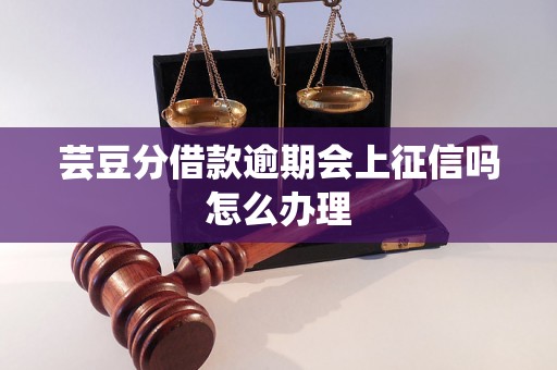 芸豆分借款逾期会上征信吗怎么办理