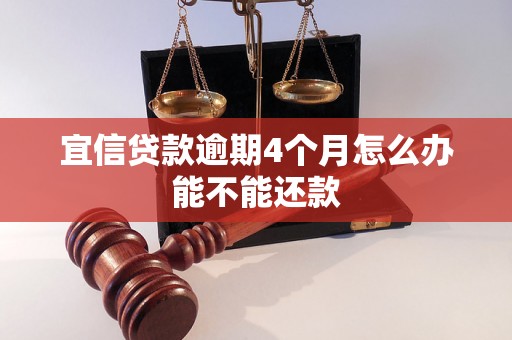 宜信贷款逾期4个月怎么办能不能还款