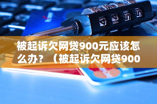 被起诉欠网贷900元应该怎么办？（被起诉欠网贷900元后的解决方法）