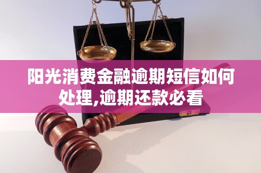 阳光消费金融逾期短信如何处理,逾期还款必看