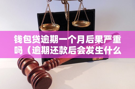 钱包贷逾期一个月后果严重吗（逾期还款后会发生什么）