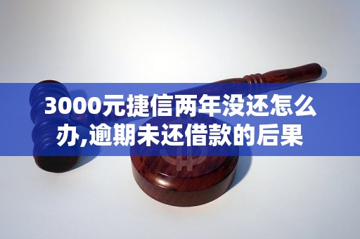 3000元捷信两年没还怎么办,逾期未还借款的后果