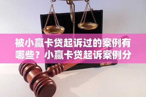 被小赢卡贷起诉过的案例有哪些？小赢卡贷起诉案例分析