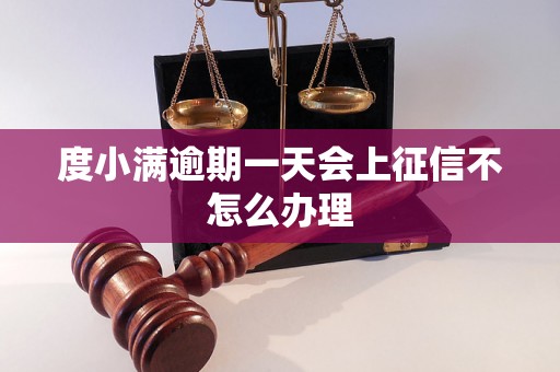 度小满逾期一天会上征信不怎么办理