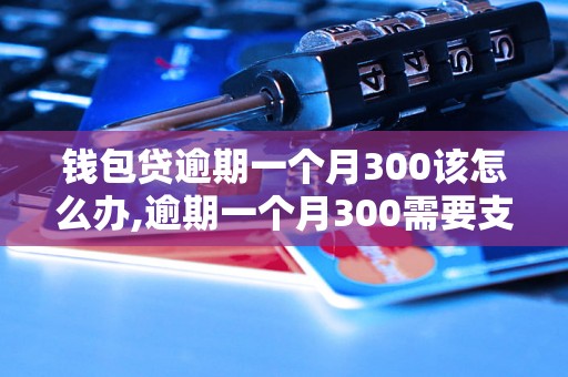 钱包贷逾期一个月300该怎么办,逾期一个月300需要支付的罚金是多少