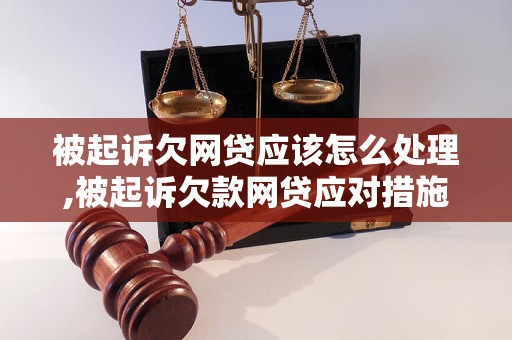 被起诉欠网贷应该怎么处理,被起诉欠款网贷应对措施