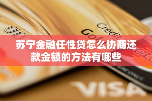 苏宁金融任性贷怎么协商还款金额的方法有哪些