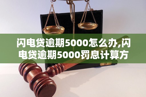 闪电贷逾期5000怎么办,闪电贷逾期5000罚息计算方法