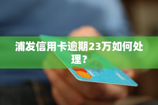 浦发信用卡逾期23万如何处理？