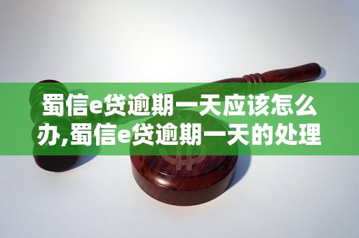 蜀信e贷逾期一天应该怎么办,蜀信e贷逾期一天的处理方式