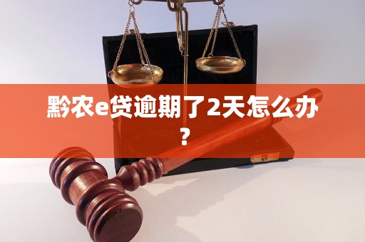 黔农e贷逾期了2天怎么办？