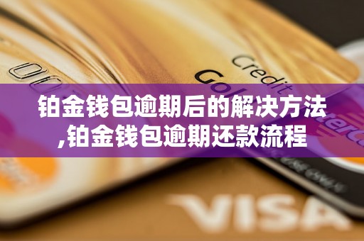 铂金钱包逾期后的解决方法,铂金钱包逾期还款流程