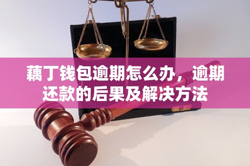 藕丁钱包逾期怎么办，逾期还款的后果及解决方法