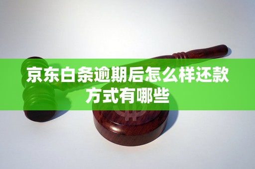 京东白条逾期后怎么样还款方式有哪些