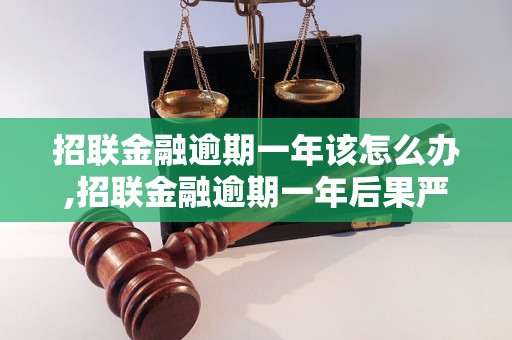 招联金融逾期一年该怎么办,招联金融逾期一年后果严重吗