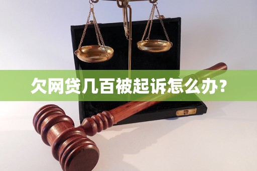 欠网贷几百被起诉怎么办？