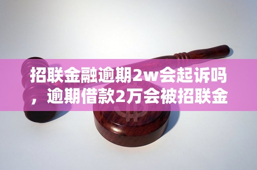 招联金融逾期2w会起诉吗，逾期借款2万会被招联金融起诉吗