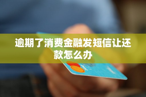 逾期了消费金融发短信让还款怎么办