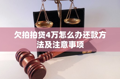 欠拍拍贷4万怎么办还款方法及注意事项