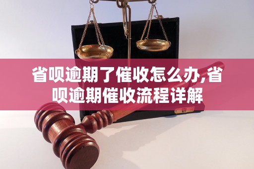 省呗逾期了催收怎么办,省呗逾期催收流程详解