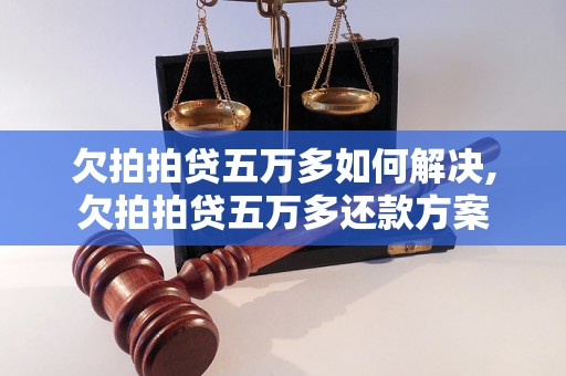 欠拍拍贷五万多如何解决,欠拍拍贷五万多还款方案