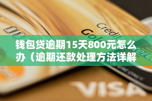 钱包贷逾期15天800元怎么办（逾期还款处理方法详解）