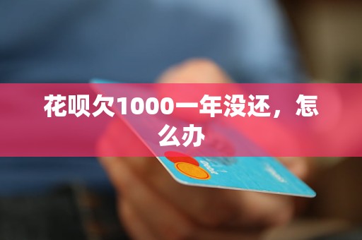 花呗欠1000一年没还，怎么办