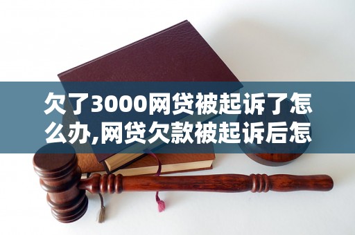 欠了3000网贷被起诉了怎么办,网贷欠款被起诉后怎么应对