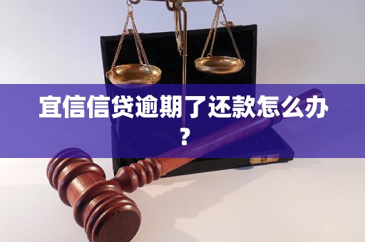 宜信信贷逾期了还款怎么办？