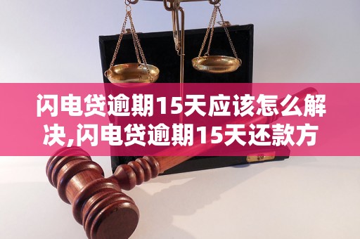 闪电贷逾期15天应该怎么解决,闪电贷逾期15天还款方法指南