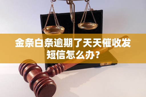 金条白条逾期了天天催收发短信怎么办？